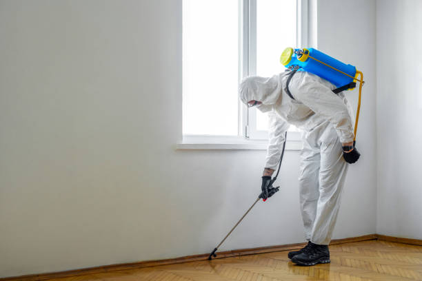 Best Commercial Pest Control Services  in Elmendorf, TX