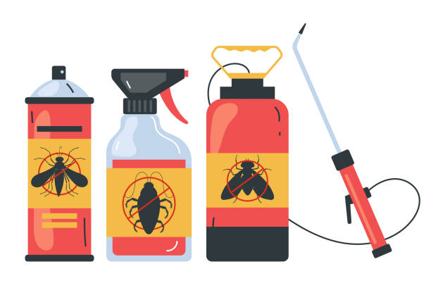 Best Pest Prevention Services  in Elmendorf, TX