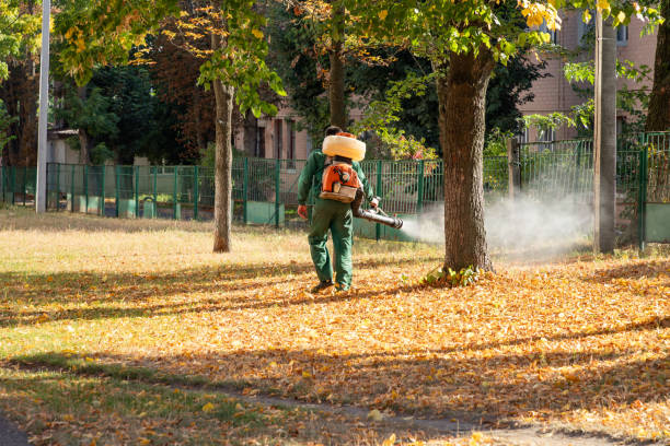 Best Pest Inspection Near Me  in Elmendorf, TX