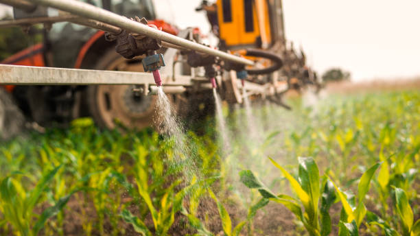 Best Pest Control for Businesses  in Elmendorf, TX